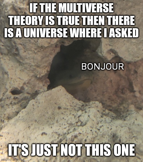 Bonjour | IF THE MULTIVERSE THEORY IS TRUE THEN THERE IS A UNIVERSE WHERE I ASKED; IT'S JUST NOT THIS ONE | image tagged in bonjour | made w/ Imgflip meme maker
