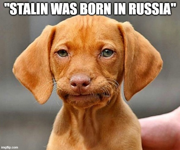 Stalin | "STALIN WAS BORN IN RUSSIA" | image tagged in famous smirking dog,joseph stalin | made w/ Imgflip meme maker