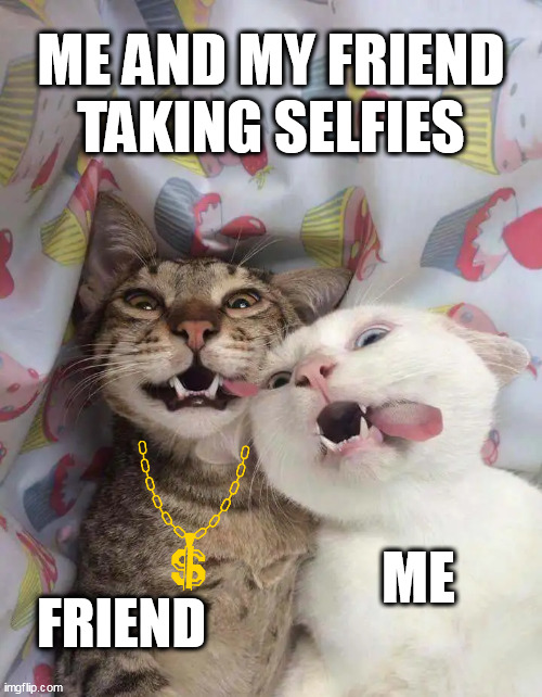 Me and my friend taking selfies | ME AND MY FRIEND
TAKING SELFIES; ME; FRIEND | image tagged in selfie,friends | made w/ Imgflip meme maker