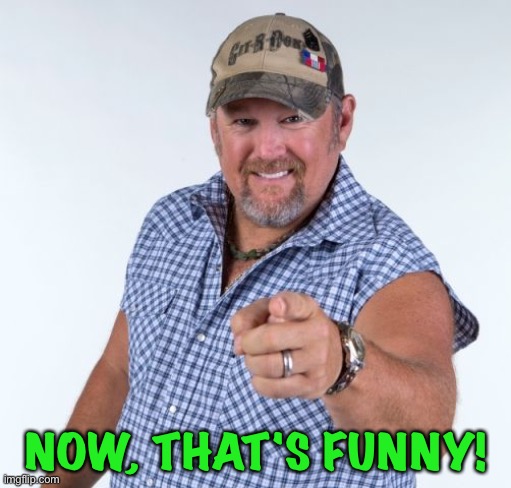 Larry the Cable Guy | NOW, THAT'S FUNNY! | image tagged in larry the cable guy | made w/ Imgflip meme maker