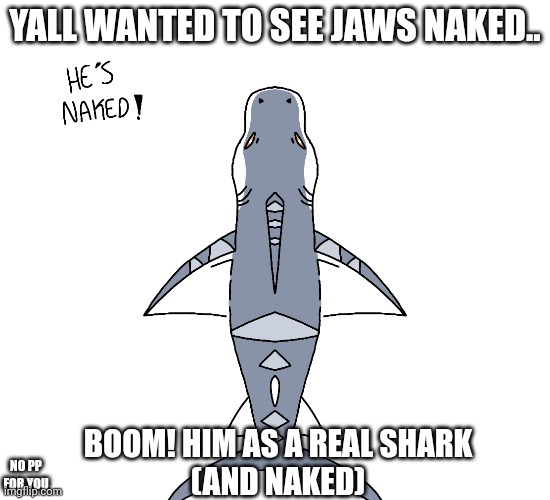 Heh heh heh >:] | YALL WANTED TO SEE JAWS NAKED.. BOOM! HIM AS A REAL SHARK
(AND NAKED); NO PP FOR YOU | image tagged in oooo shork,gottem | made w/ Imgflip meme maker