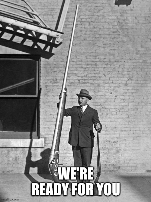 Punt Gun | WE'RE READY FOR YOU | image tagged in punt gun | made w/ Imgflip meme maker
