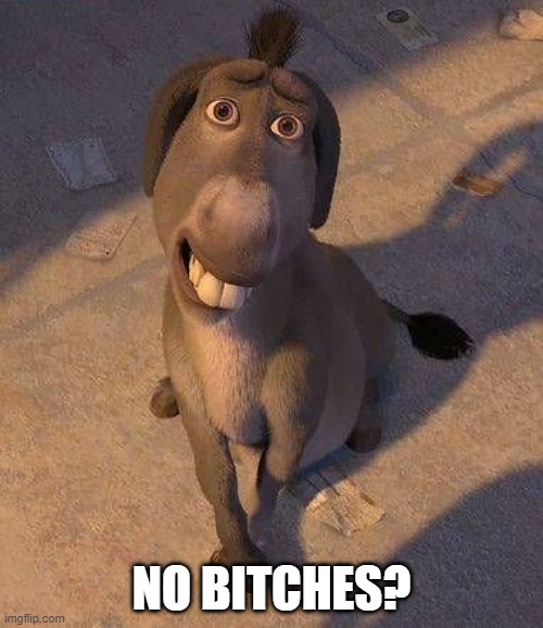 ?????? | NO BITCHES? | image tagged in shrek,no bitches | made w/ Imgflip meme maker