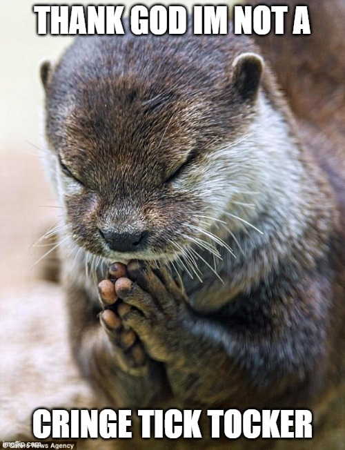Thank you Lord Otter | THANK GOD IM NOT A; CRINGE TICK TOCKER | image tagged in thank you lord otter | made w/ Imgflip meme maker