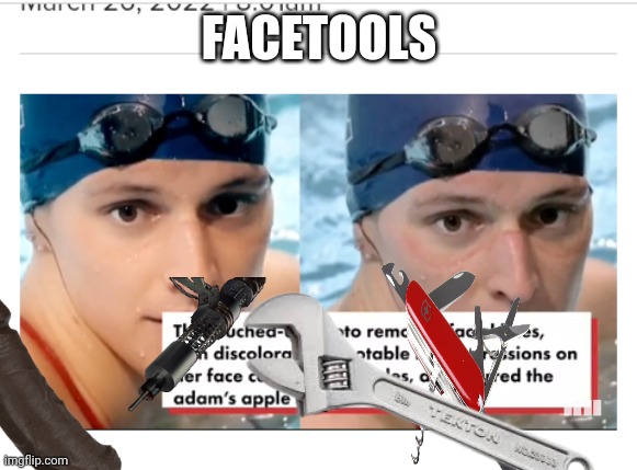face meet facetools software hard | FACETOOLS | image tagged in facetool,photochop contest,photoshop,edit,post op,production | made w/ Imgflip meme maker