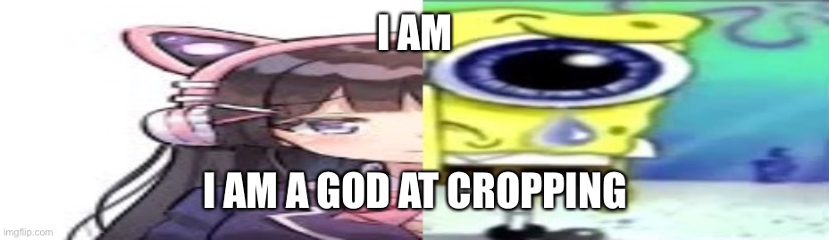lol | I AM; I AM A GOD AT CROPPING | image tagged in lol | made w/ Imgflip meme maker