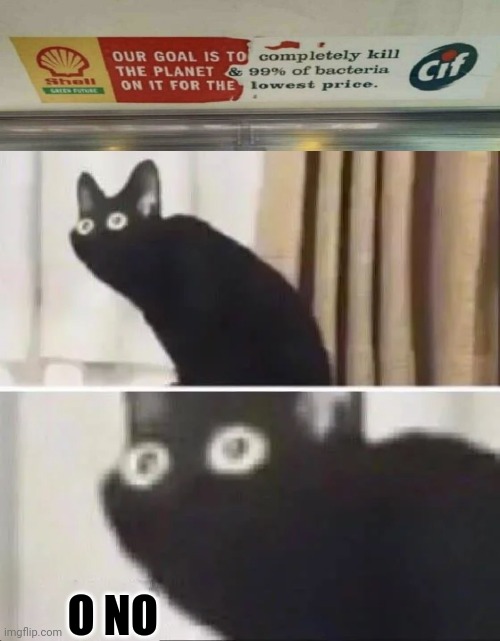 Oh No Black Cat | O NO | image tagged in oh no black cat,oh no,tags,unnecessary tags,too many tags,you have been eternally cursed for reading the tags | made w/ Imgflip meme maker