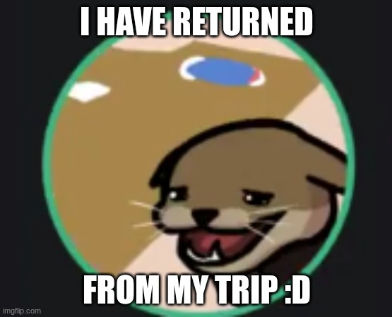 did you all stay hydrated | I HAVE RETURNED; FROM MY TRIP :D | image tagged in hecker | made w/ Imgflip meme maker