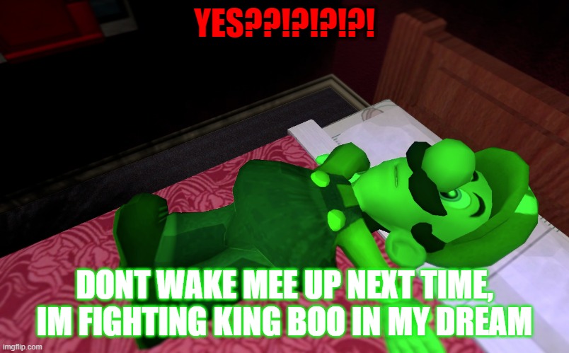 YES MARIO? | YES??!?!?!?! DONT WAKE MEE UP NEXT TIME, IM FIGHTING KING BOO IN MY DREAM | image tagged in luigi | made w/ Imgflip meme maker