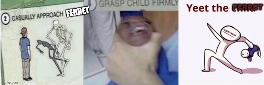 Casually Approach Child, Grasp Child Firmly, Yeet the Child | FERRET FERRET | image tagged in casually approach child grasp child firmly yeet the child | made w/ Imgflip meme maker