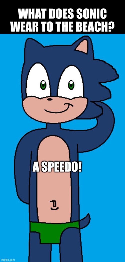 Gotta go fast, at the beach! | WHAT DOES SONIC WEAR TO THE BEACH? A SPEEDO! | image tagged in sonic the hedgehog,funny,puns,dad joke | made w/ Imgflip meme maker