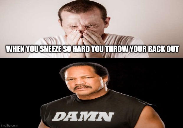 When You Sneeze So Hard You Throw Your Back Out | WHEN YOU SNEEZE SO HARD YOU THROW YOUR BACK OUT | image tagged in big sneeze,damn,old,throw your back out,funny memes | made w/ Imgflip meme maker