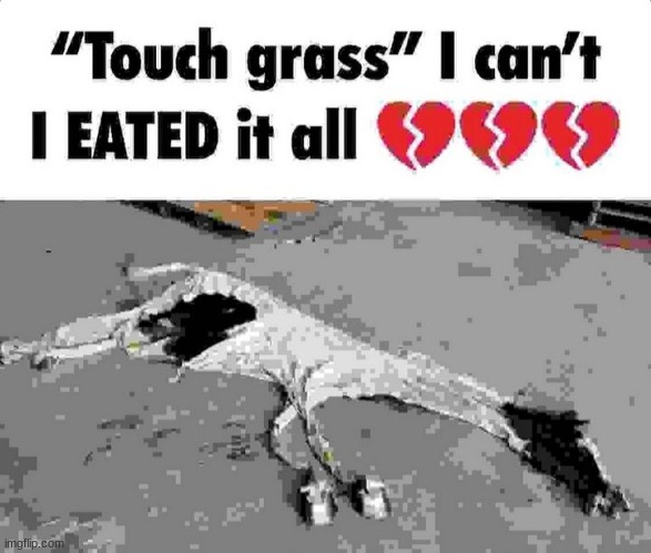 And yet they tell us to touch grass - Imgflip