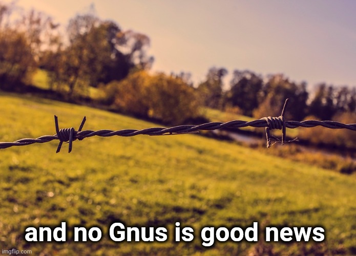 barbed wire fence pasture | and no Gnus is good news | image tagged in barbed wire fence pasture | made w/ Imgflip meme maker