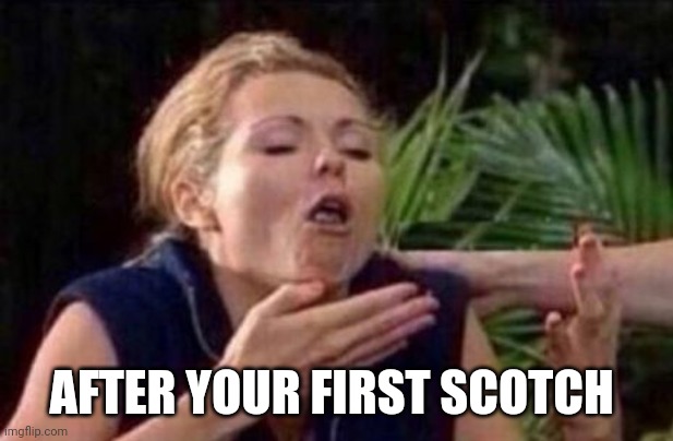 About to Puke | AFTER YOUR FIRST SCOTCH | image tagged in about to puke | made w/ Imgflip meme maker
