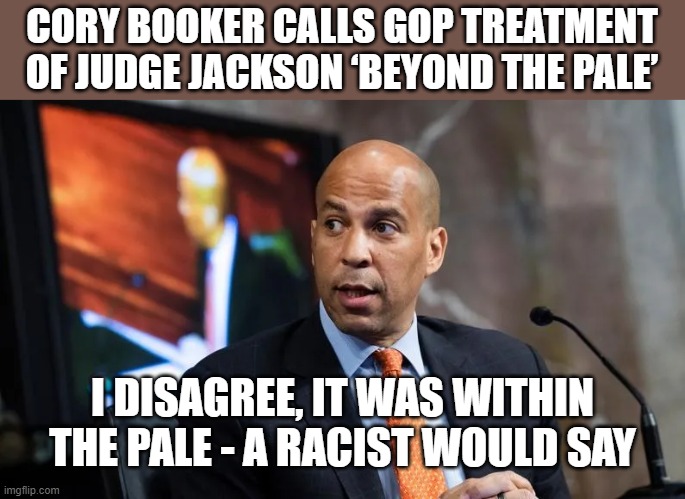 Beyond the 'Pale' | CORY BOOKER CALLS GOP TREATMENT OF JUDGE JACKSON ‘BEYOND THE PALE’; I DISAGREE, IT WAS WITHIN THE PALE - A RACIST WOULD SAY | image tagged in nonsense | made w/ Imgflip meme maker