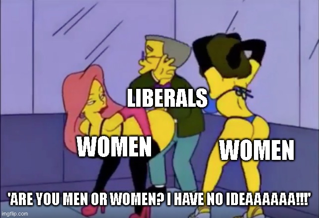 Smithers vs Strippers | LIBERALS; WOMEN; WOMEN; 'ARE YOU MEN OR WOMEN? I HAVE NO IDEAAAAAA!!!' | image tagged in smithers vs strippers | made w/ Imgflip meme maker