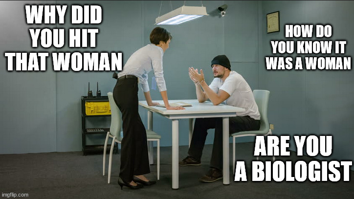 HOW DO YOU KNOW IT WAS A WOMAN; WHY DID YOU HIT THAT WOMAN; ARE YOU A BIOLOGIST | made w/ Imgflip meme maker