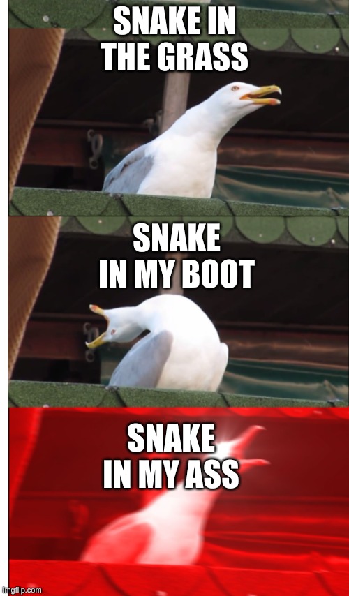  SNAKE IN THE GRASS; SNAKE IN MY BOOT; SNAKE IN MY ASS | made w/ Imgflip meme maker