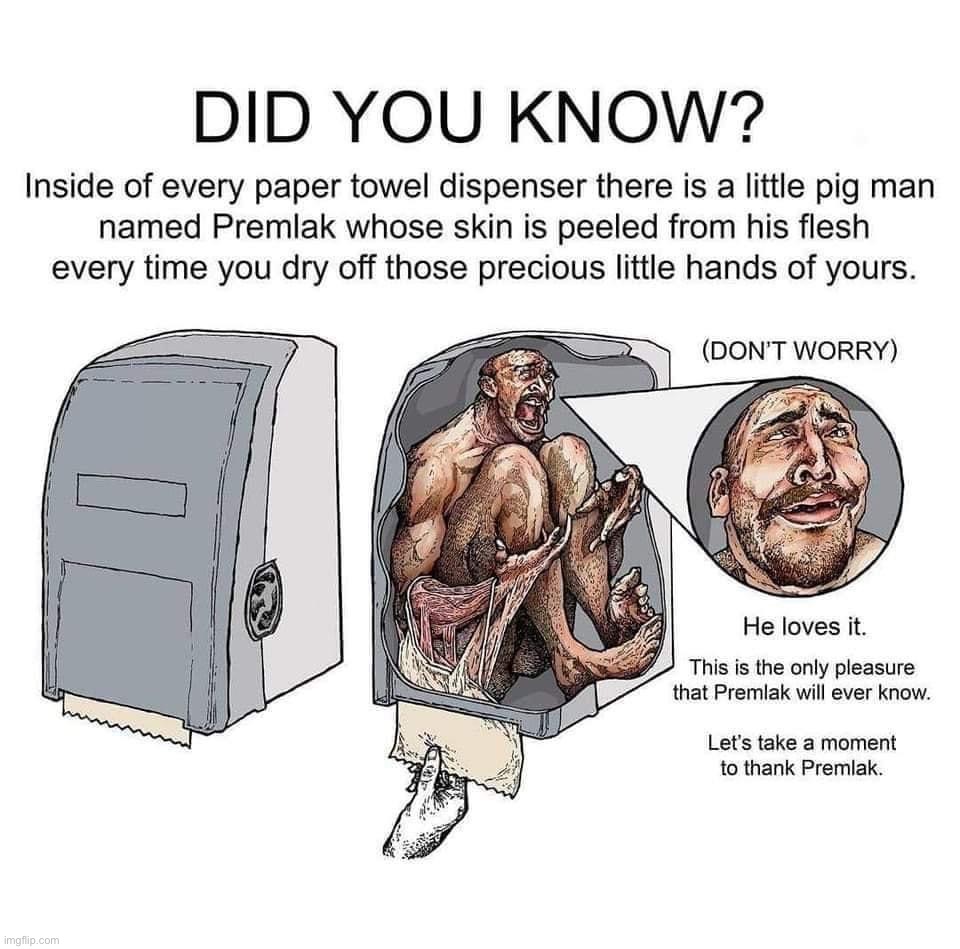 Paper towels Premlak | image tagged in paper towels premlak | made w/ Imgflip meme maker