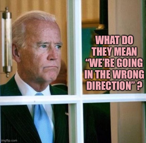 Sad Joe Biden | WHAT DO THEY MEAN
“WE’RE GOING IN THE WRONG DIRECTION” ? | image tagged in sad joe biden | made w/ Imgflip meme maker