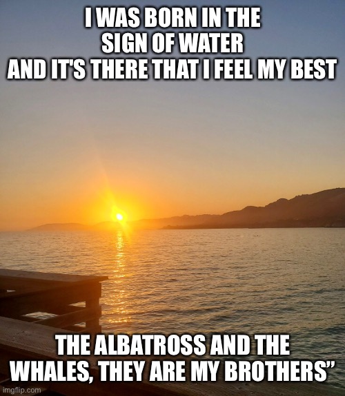 I WAS BORN IN THE SIGN OF WATER
AND IT'S THERE THAT I FEEL MY BEST; THE ALBATROSS AND THE WHALES, THEY ARE MY BROTHERS” | made w/ Imgflip meme maker