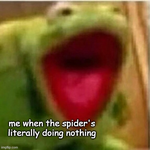 spider in your wall | me when the spider's literally doing nothing | image tagged in ahhhhhhhhhhhhh | made w/ Imgflip meme maker