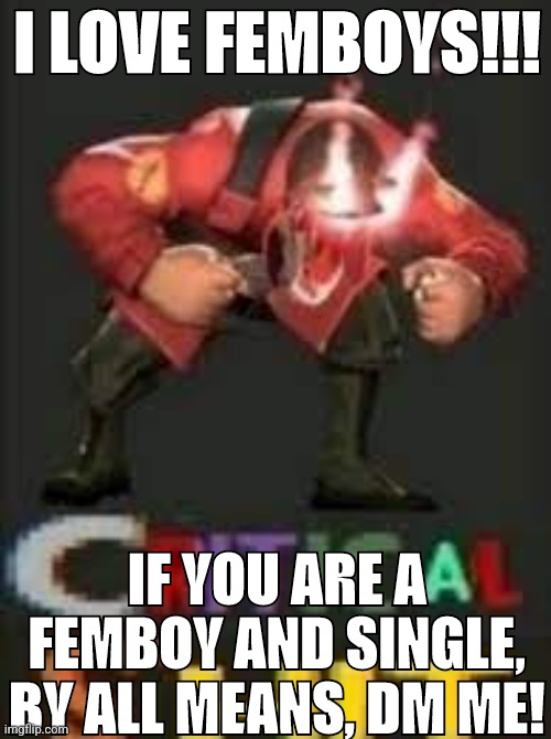 PLEASE!!!! | I LOVE FEMBOYS!!! IF YOU ARE A FEMBOY AND SINGLE, BY ALL MEANS, DM ME! | image tagged in critical shit | made w/ Imgflip meme maker