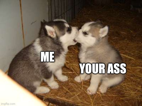 Cute Puppies | YOUR ASS; ME | image tagged in memes,cute puppies | made w/ Imgflip meme maker