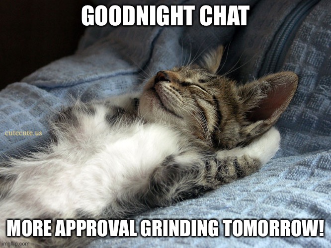sleeping cat | GOODNIGHT CHAT; MORE APPROVAL GRINDING TOMORROW! | image tagged in sleeping cat | made w/ Imgflip meme maker