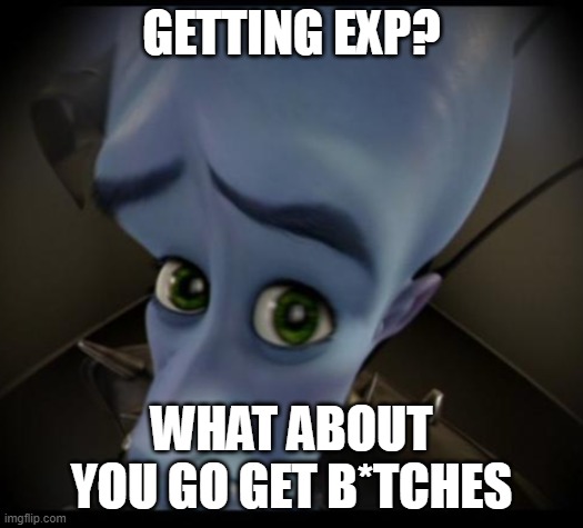 Getting exp? | GETTING EXP? WHAT ABOUT YOU GO GET B*TCHES | image tagged in no bitches | made w/ Imgflip meme maker