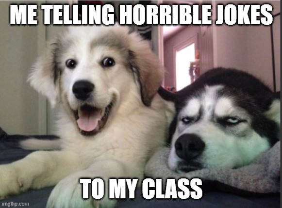 they no liky my humor!!!1!!!!!!!1111!!???? | ME TELLING HORRIBLE JOKES; TO MY CLASS | image tagged in knock knock dogs single panel | made w/ Imgflip meme maker