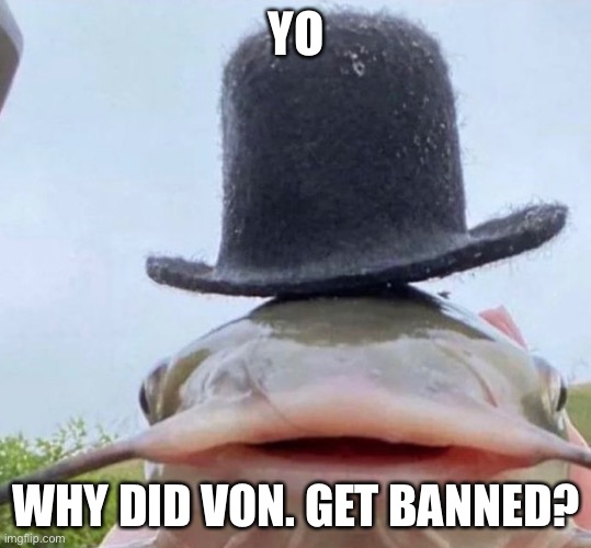 Fib | YO; WHY DID VON. GET BANNED? | image tagged in fib | made w/ Imgflip meme maker