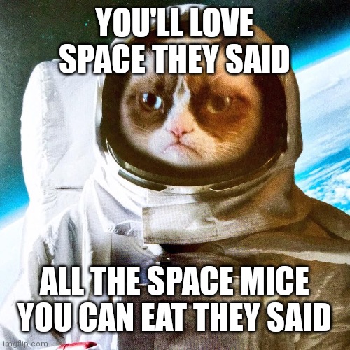 Grumpy Interstellar Astronaut | YOU'LL LOVE SPACE THEY SAID; ALL THE SPACE MICE YOU CAN EAT THEY SAID | image tagged in grumpy interstellar astronaut | made w/ Imgflip meme maker