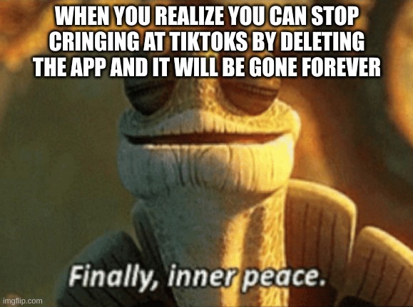 Ahhh, yes. I feel a whole lot better now. | WHEN YOU REALIZE YOU CAN STOP CRINGING AT TIKTOKS BY DELETING THE APP AND IT WILL BE GONE FOREVER | image tagged in finally inner peace | made w/ Imgflip meme maker