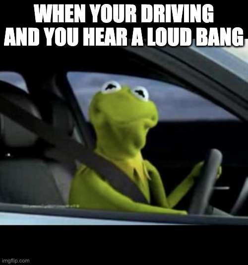 Kermit Driving | WHEN YOUR DRIVING AND YOU HEAR A LOUD BANG | image tagged in kermit driving | made w/ Imgflip meme maker