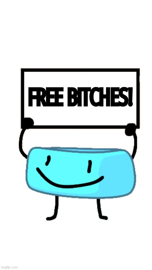 Braceletey BFB | FREE BITCHES! | image tagged in braceletey bfb | made w/ Imgflip meme maker