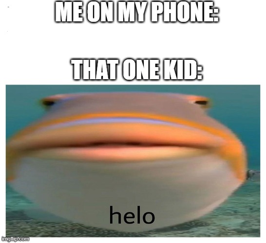 helo | ME ON MY PHONE:; THAT ONE KID: | image tagged in helo fish | made w/ Imgflip meme maker
