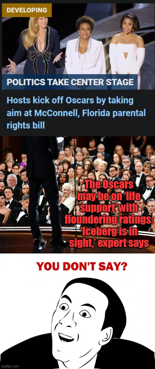 Just don't learn... |  The Oscars may be on ‘life support’ with floundering ratings: ‘Iceberg is in sight,’ expert says | image tagged in memes,you don't say,dumb,liberals,idiots,morons | made w/ Imgflip meme maker