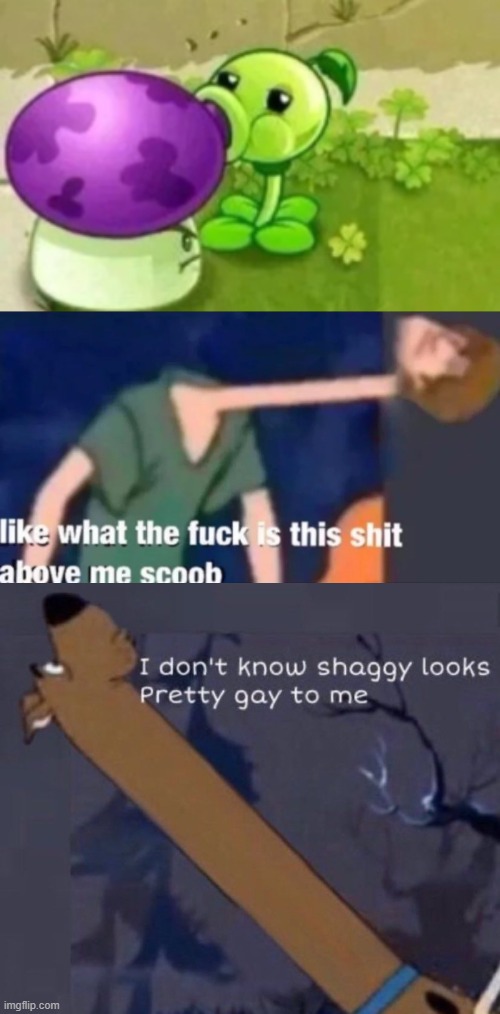 image tagged in like what the f ck is this sh t above me scoob,i don't know shaggy looks pretty gay to me | made w/ Imgflip meme maker
