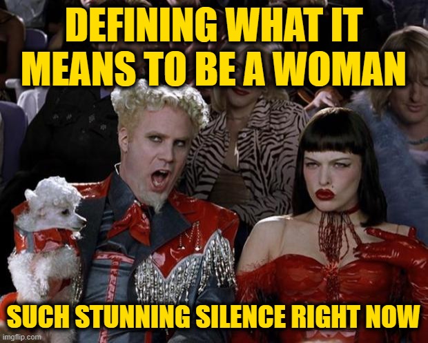 Jaw-Dropping Dumbness | DEFINING WHAT IT MEANS TO BE A WOMAN; SUCH STUNNING SILENCE RIGHT NOW | image tagged in memes,mugatu so hot right now | made w/ Imgflip meme maker