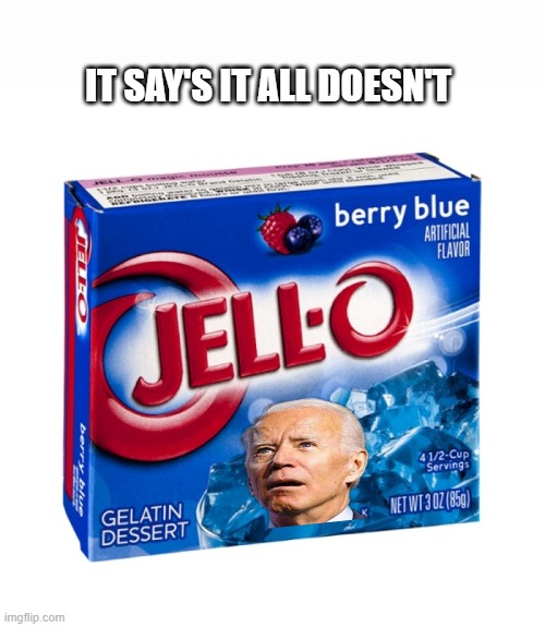 JELLO BRAIN BIDEN what a disgrace to America. | IT SAY'S IT ALL DOESN'T | made w/ Imgflip meme maker