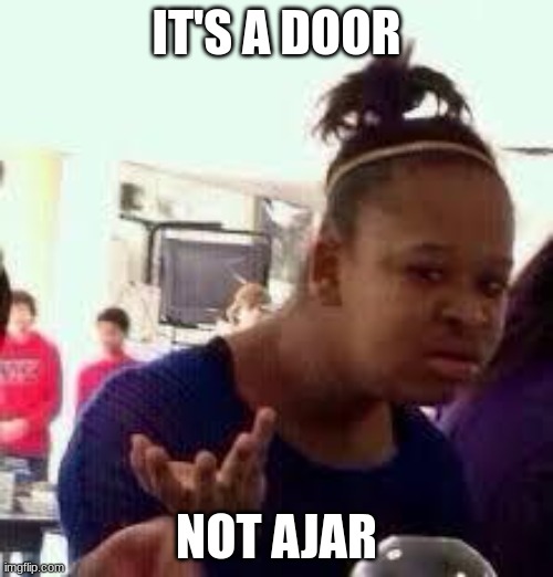 You can't fool me | IT'S A DOOR; NOT AJAR | image tagged in bruh | made w/ Imgflip meme maker