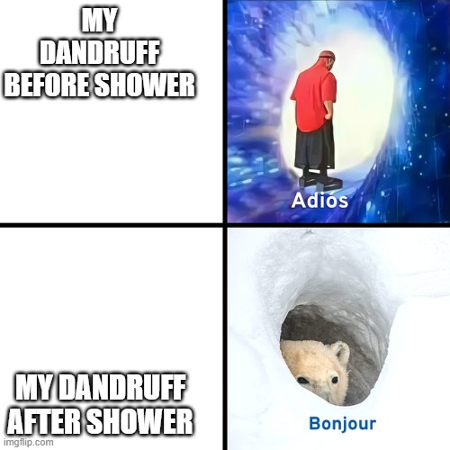 help | MY DANDRUFF BEFORE SHOWER; MY DANDRUFF AFTER SHOWER | image tagged in adios bonjour | made w/ Imgflip meme maker