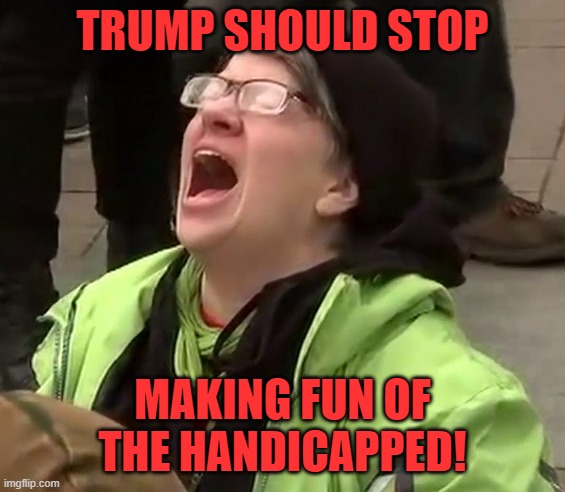 Crying liberal | TRUMP SHOULD STOP MAKING FUN OF THE HANDICAPPED! | image tagged in crying liberal | made w/ Imgflip meme maker