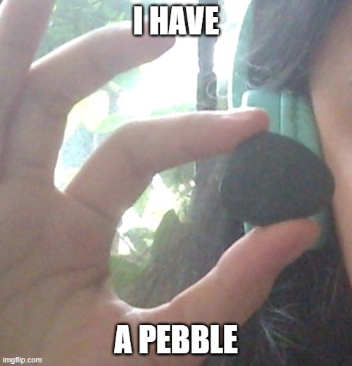 cool rock I found yesterday | I HAVE; A PEBBLE | made w/ Imgflip meme maker