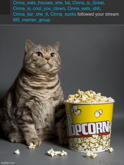 image tagged in cat eating popcorn | made w/ Imgflip meme maker