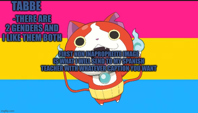 she gets me. and hates me. | FIRST NON INAPPROPRIATE IMAGE IS WHAT I WILL SEND TO MY SPANISH TEACHER WITH WHATEVER CAPTION YOU WANT | image tagged in pan cat temp thingy | made w/ Imgflip meme maker