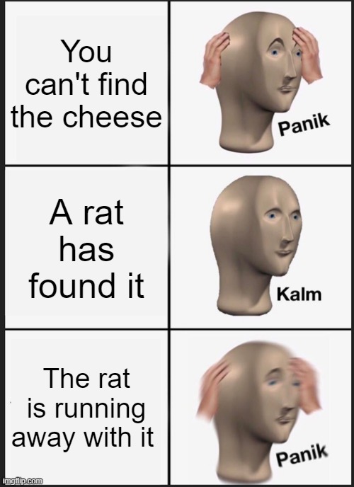 Panik Kalm Panik | You can't find the cheese; A rat has found it; The rat is running away with it | image tagged in memes,panik kalm panik | made w/ Imgflip meme maker