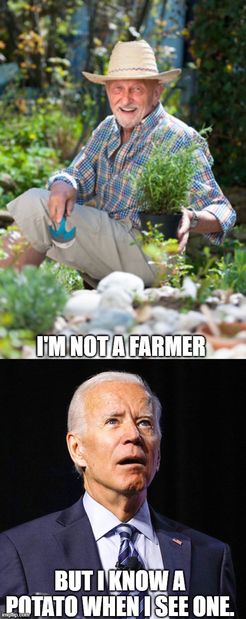 I'M NOT A FARMER BUT I KNOW A POTATO WHEN I SEE ONE. | image tagged in herb in the garden,joe biden | made w/ Imgflip meme maker